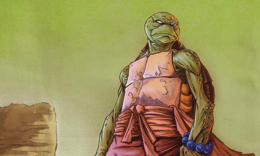 Teenage Mutant Ninja Turtles #146 (IDW Publishing)